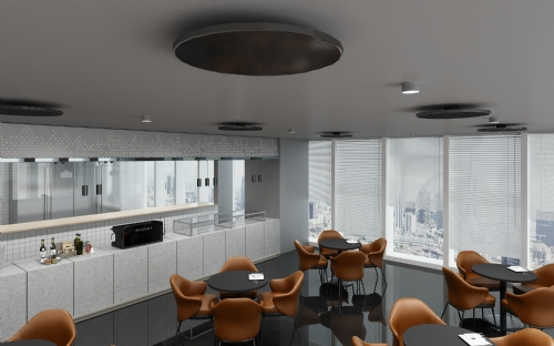 Infrareood Direct Radiant Heater G-Cera R